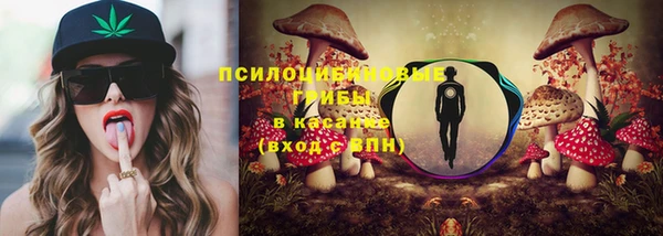 твердый Михайловка
