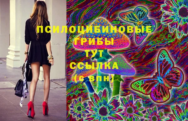 круглые Белокуриха